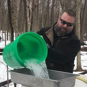 Collecting maple sap