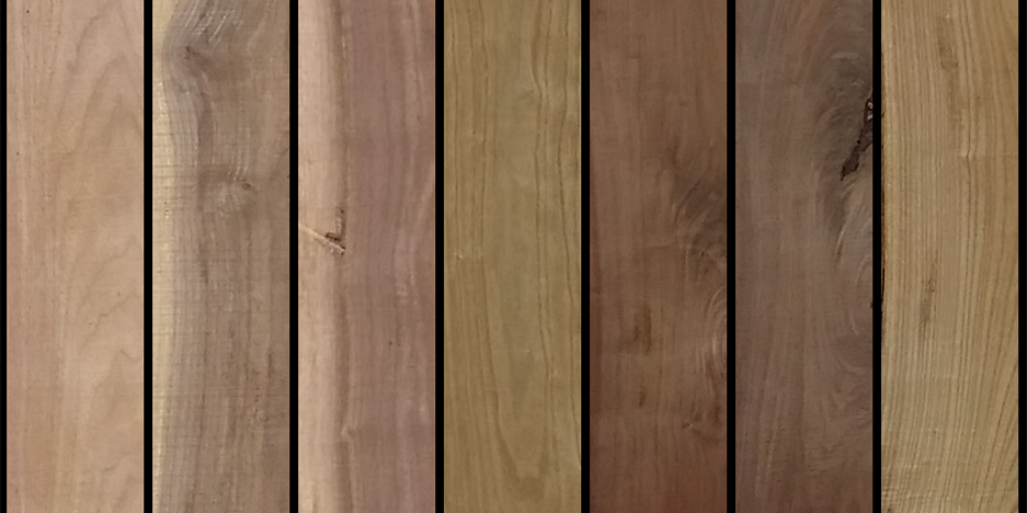 Wood species samples
